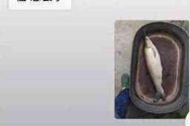 兴宾讨债公司成功追回消防工程公司欠款108万成功案例