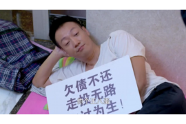 兴宾融资清欠服务